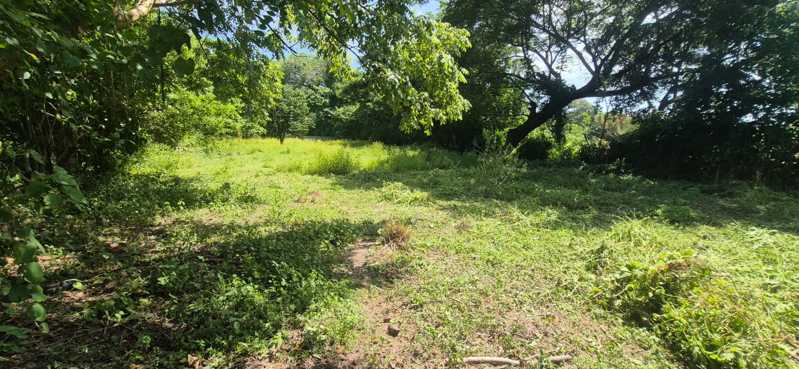 LAND LOTS FOR SALE IN THE MIRAFLORES SUBDIVISION