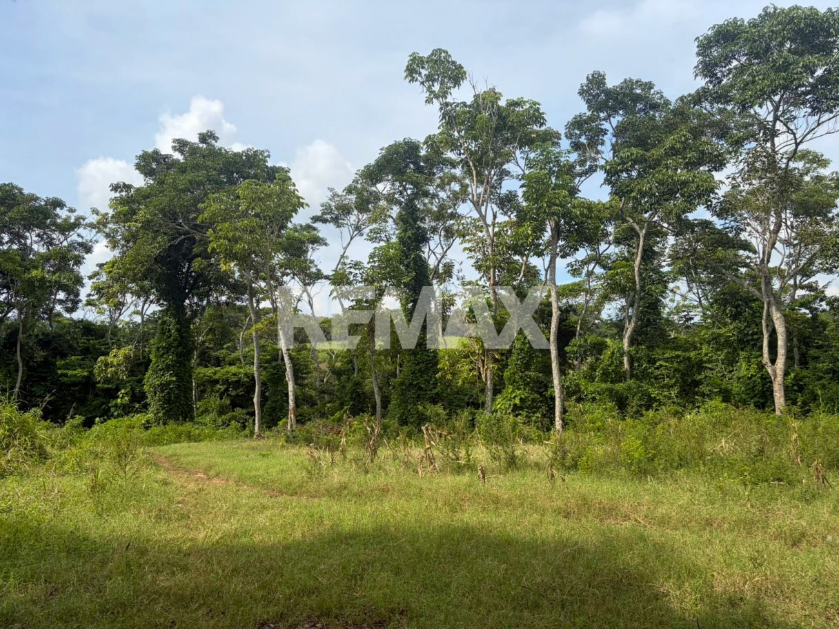 VENTA TERRENO ARMENIA SONSONATE