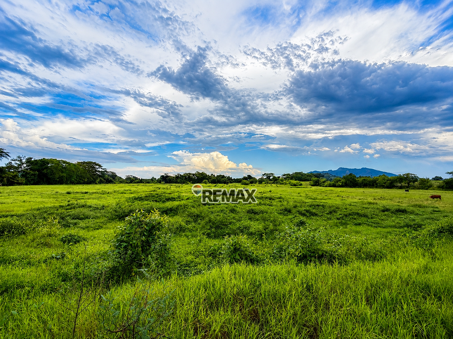 Great investment opportunity! 4.5 manzanas of multi-use land, 100% flat and fertile.