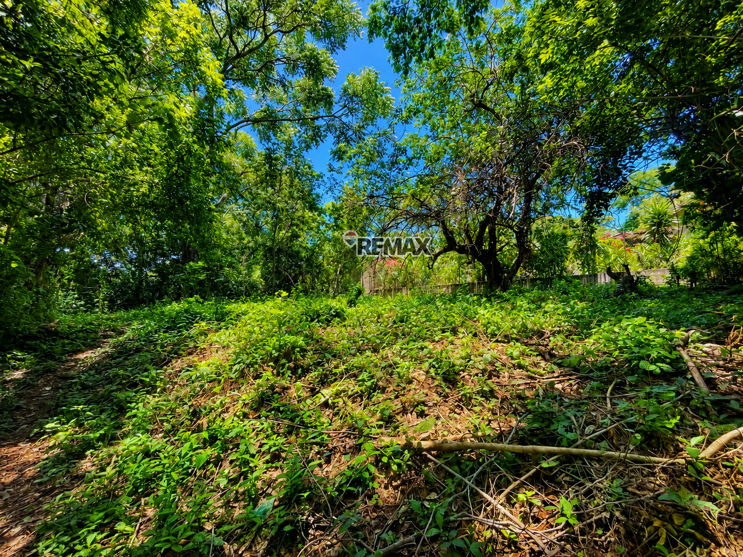 Build your dream home on this beautiful 360 m2 lot