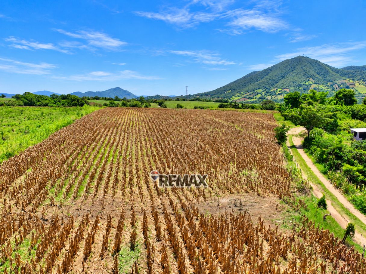 TERRENO EN VENTA | HACIENDA MAPILAPA, NEJAPA