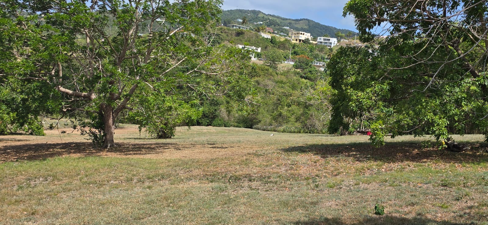 RE/MAX real estate, Puerto Rico, Yabucoa, Scenic Homesite with Ocean Views in a Peaceful Setting