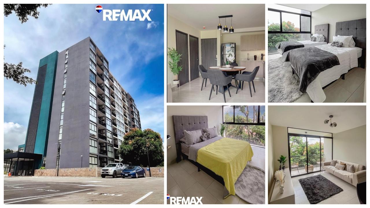 Fully Furnished Apartment for Rent in Avitat Link