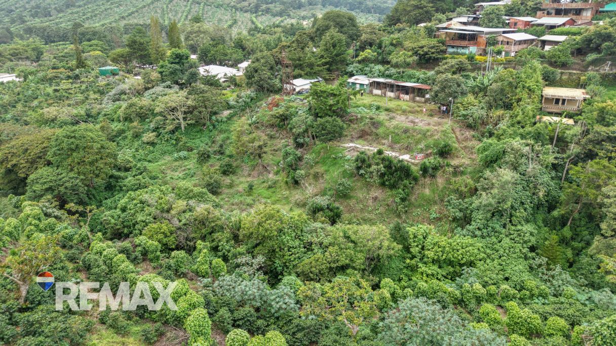 ¡GRAN TERRENO PARA PROYECTO CON VISTA PANORÁMICA EN LOS NARANJOS!