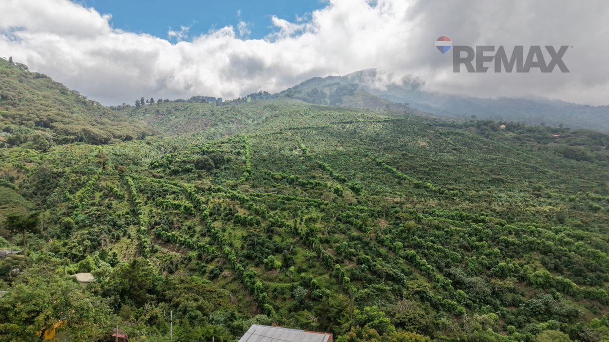 ¡GRAN TERRENO PARA PROYECTO CON VISTA PANORÁMICA EN LOS NARANJOS!