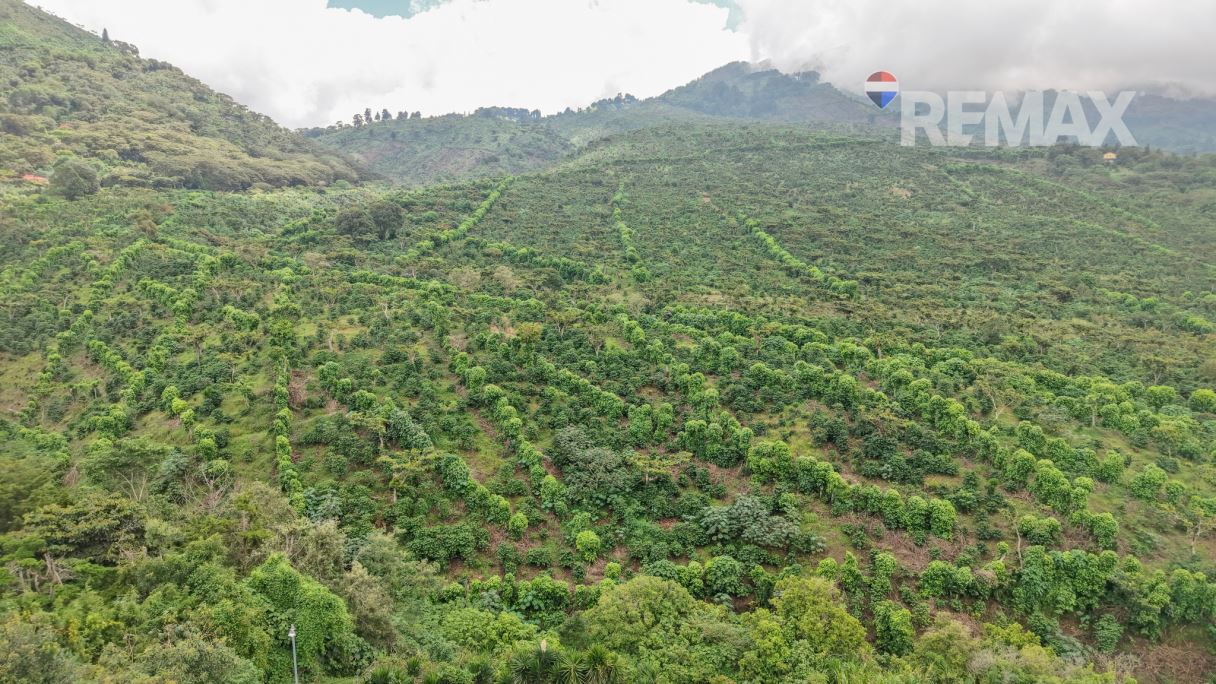 ¡GRAN TERRENO PARA PROYECTO CON VISTA PANORÁMICA EN LOS NARANJOS!
